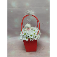 Beyaz Papatya Buketi & Sevimli Peluş Ayıcık Aranjmanı