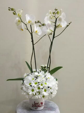 ısparta seramik vazoda orkide ve papatya